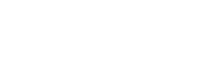THE UNION